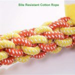 70997093734c4c34bdbcbb7530108720-goods